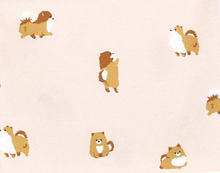 Load image into Gallery viewer, Pomeranian.png
